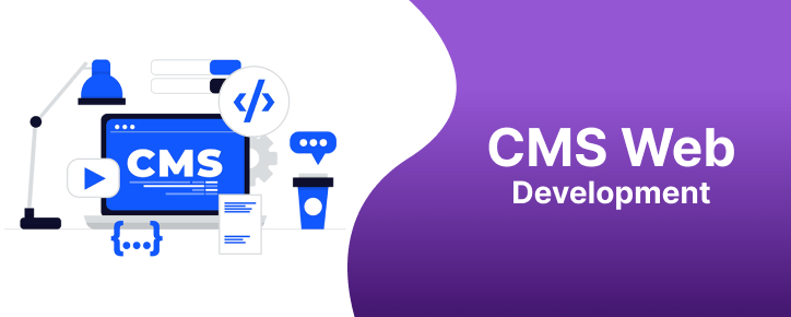CMS Web Design & Development In Bathinda Punjab