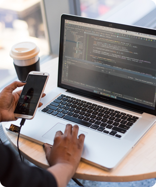 Seo Services In Bathinda Punjab